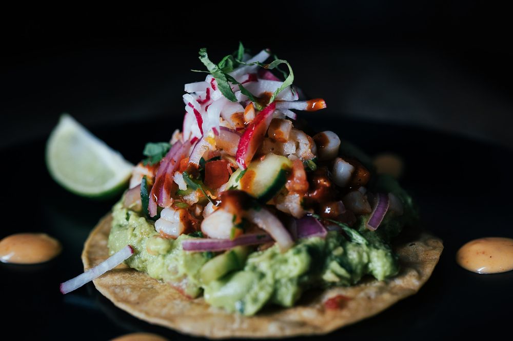 Terra Mezcal Mexican Grill