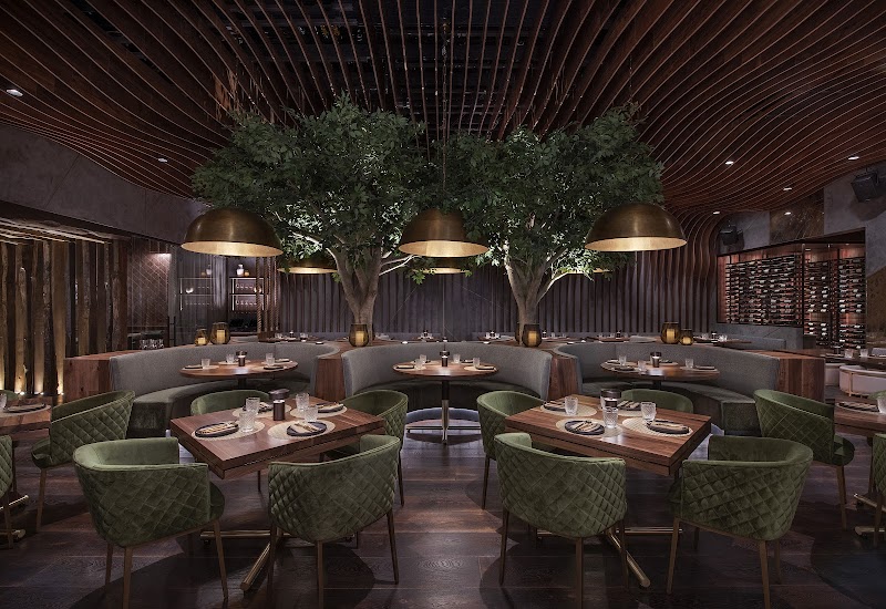 Toca Madera Las Vegas