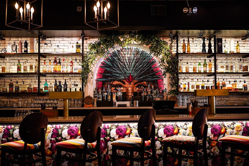 MXDC Cocina Mexicana | By Chef Todd English