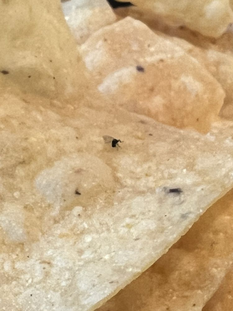 Miguel's Mexican Bar and Grill