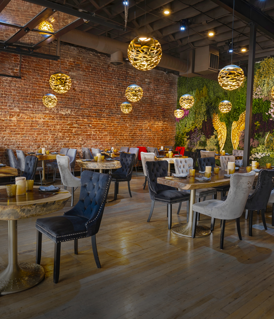 CAMELIA Modern Mexican Cuisine