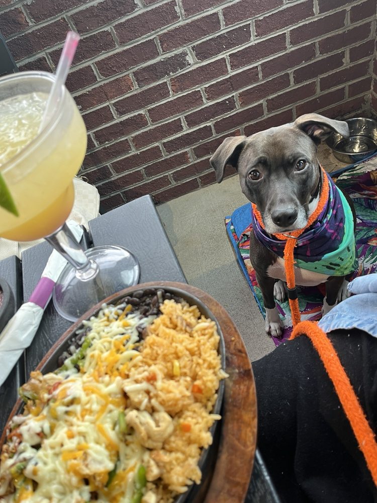 El Burrito Mexican Restaurant