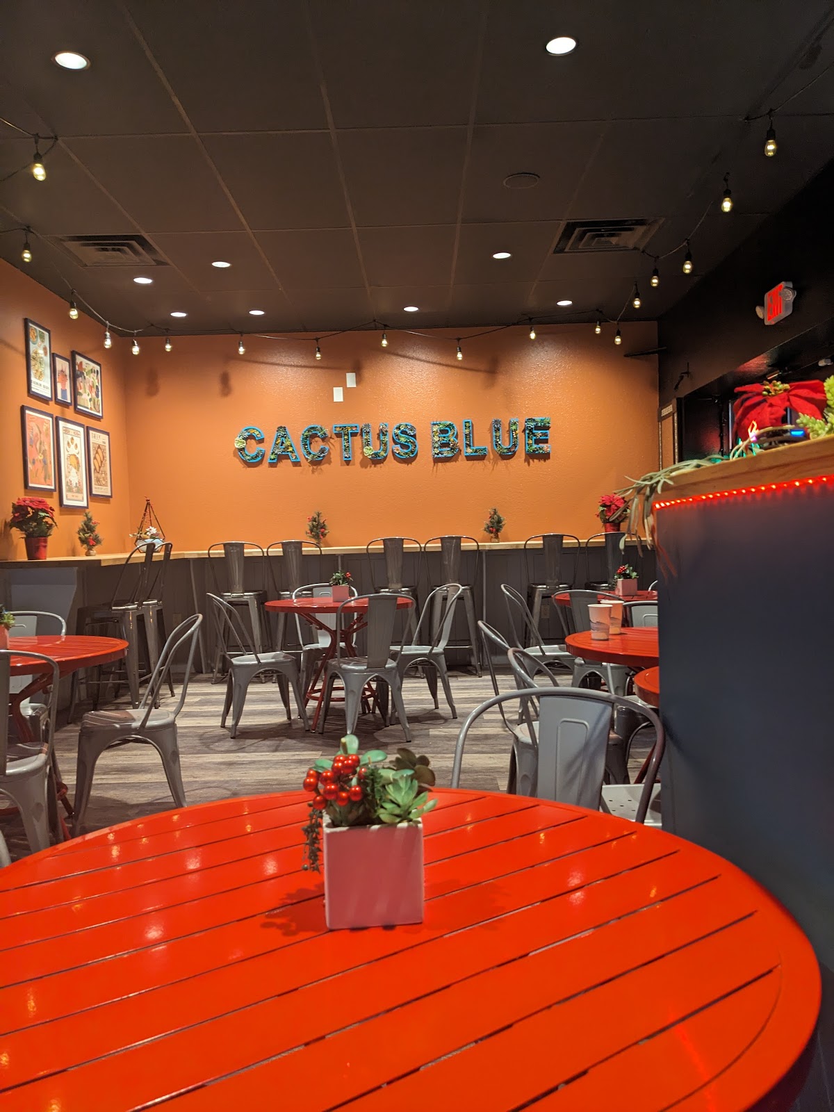 Cactus Blue
