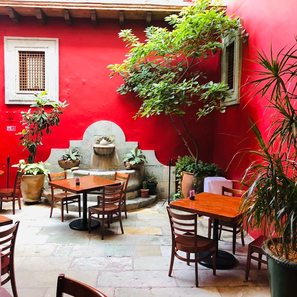 Catedral Restaurant — Mexican restaurant in Oaxaca de Juárez