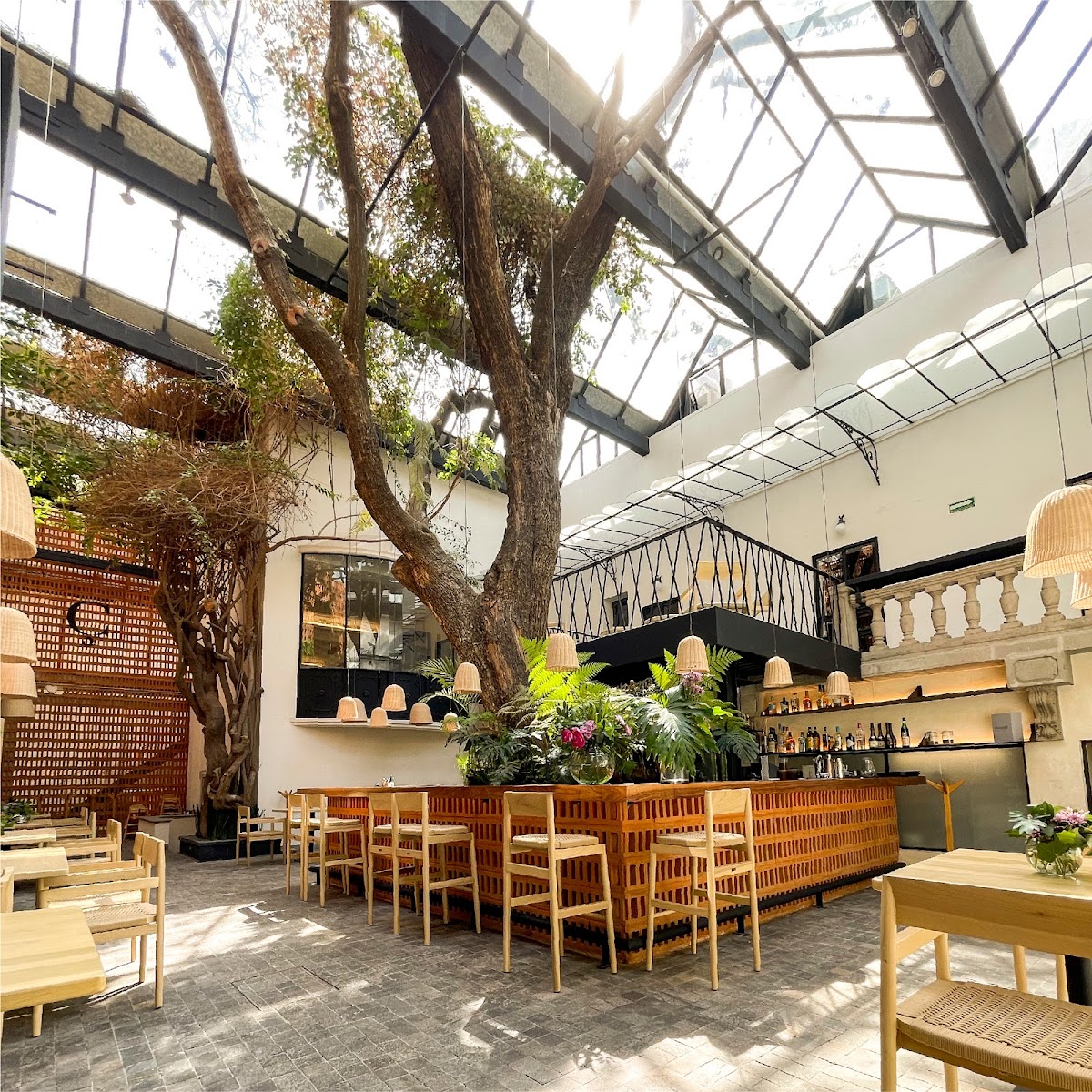 Cuina — Mexican restaurant in Ciudad de México