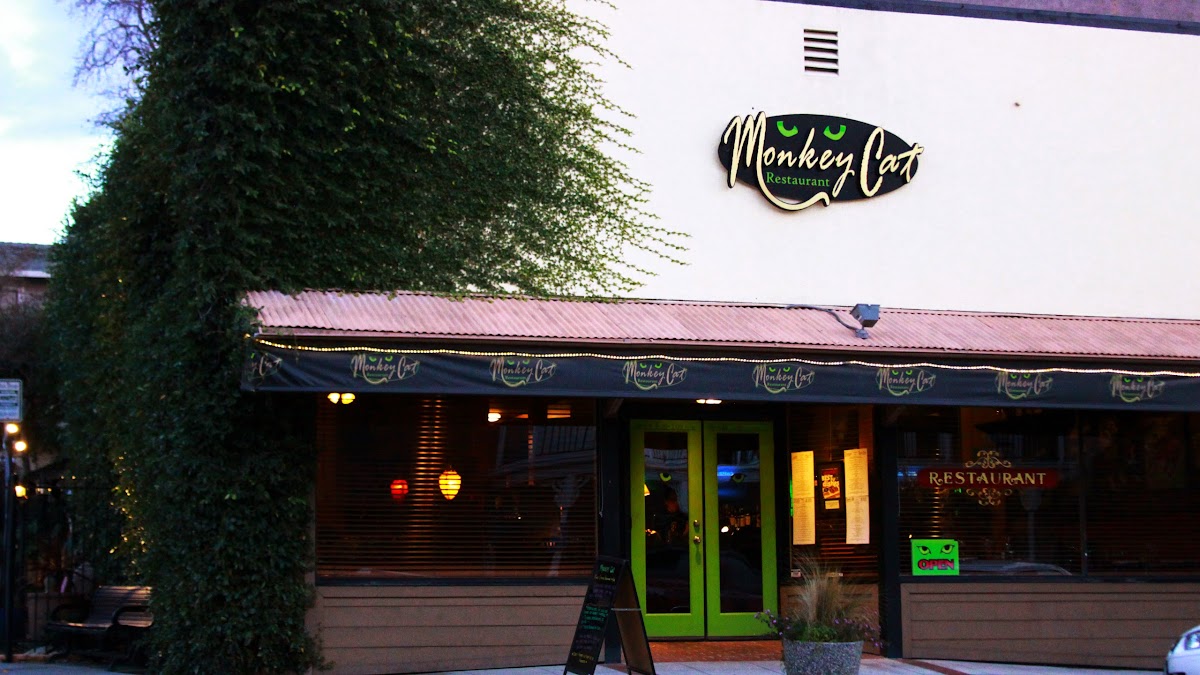 Monkey Cat — Mexican restaurant in Auburn